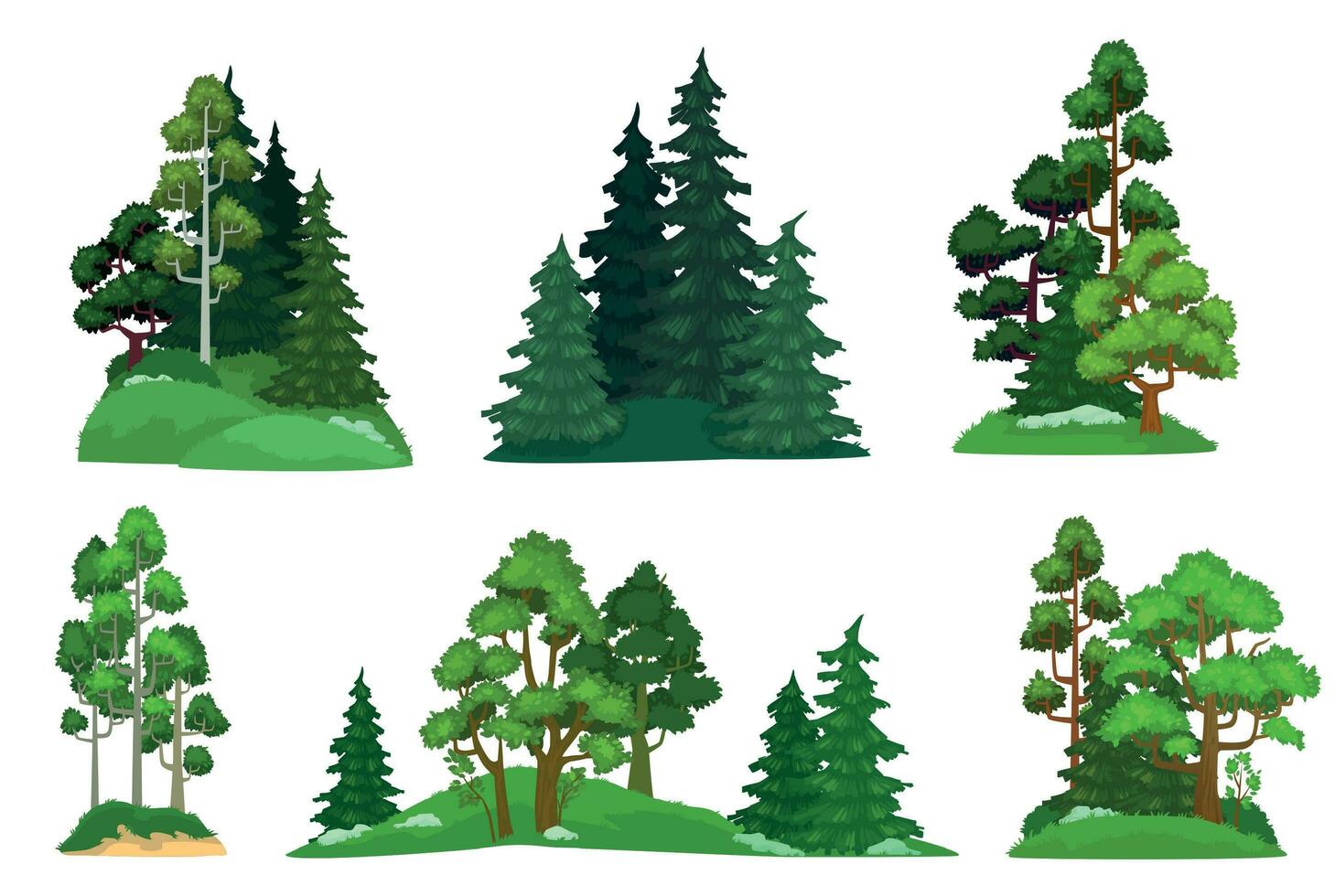 skog träd. grön gran träd, skogar tall sammansättning och isolerat träd tecknad serie vektor illustration uppsättning