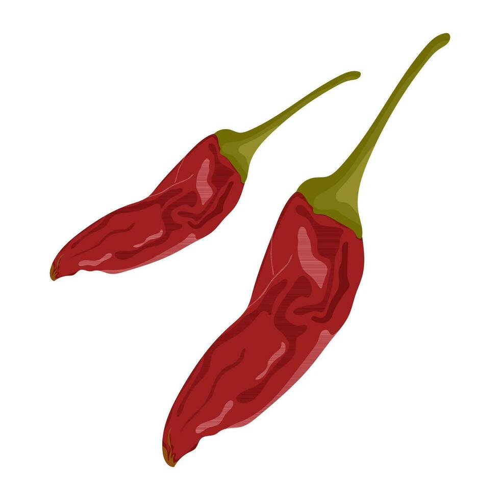 chili varm peppar ikon uppsättning. röd chili kajenn paprika. platt design. vit bakgrund. isolerat. vektor illustration