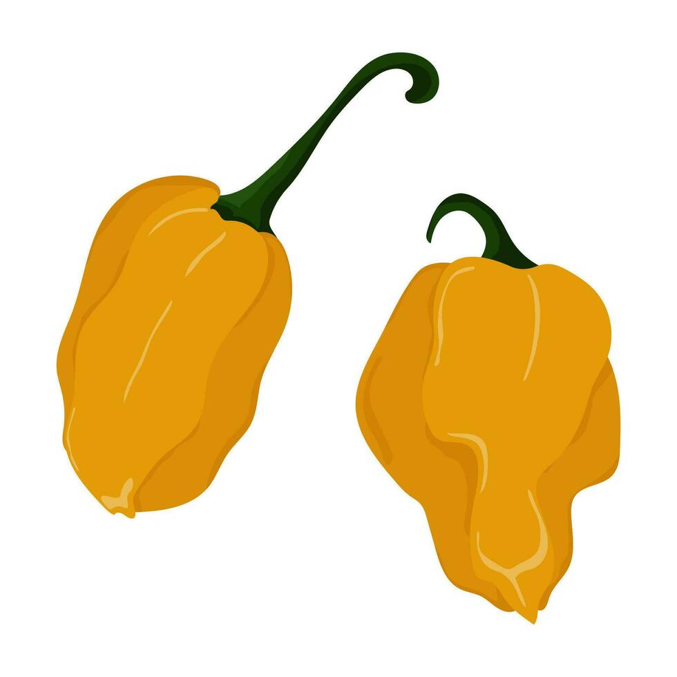 Habanero Chili Pfeffer. Paprika chinesisch. heiß Chili Pfeffer. frisch organisch Gemüse. Karikatur Stil. Vektor Illustration isoliert auf Weiß Hintergrund.