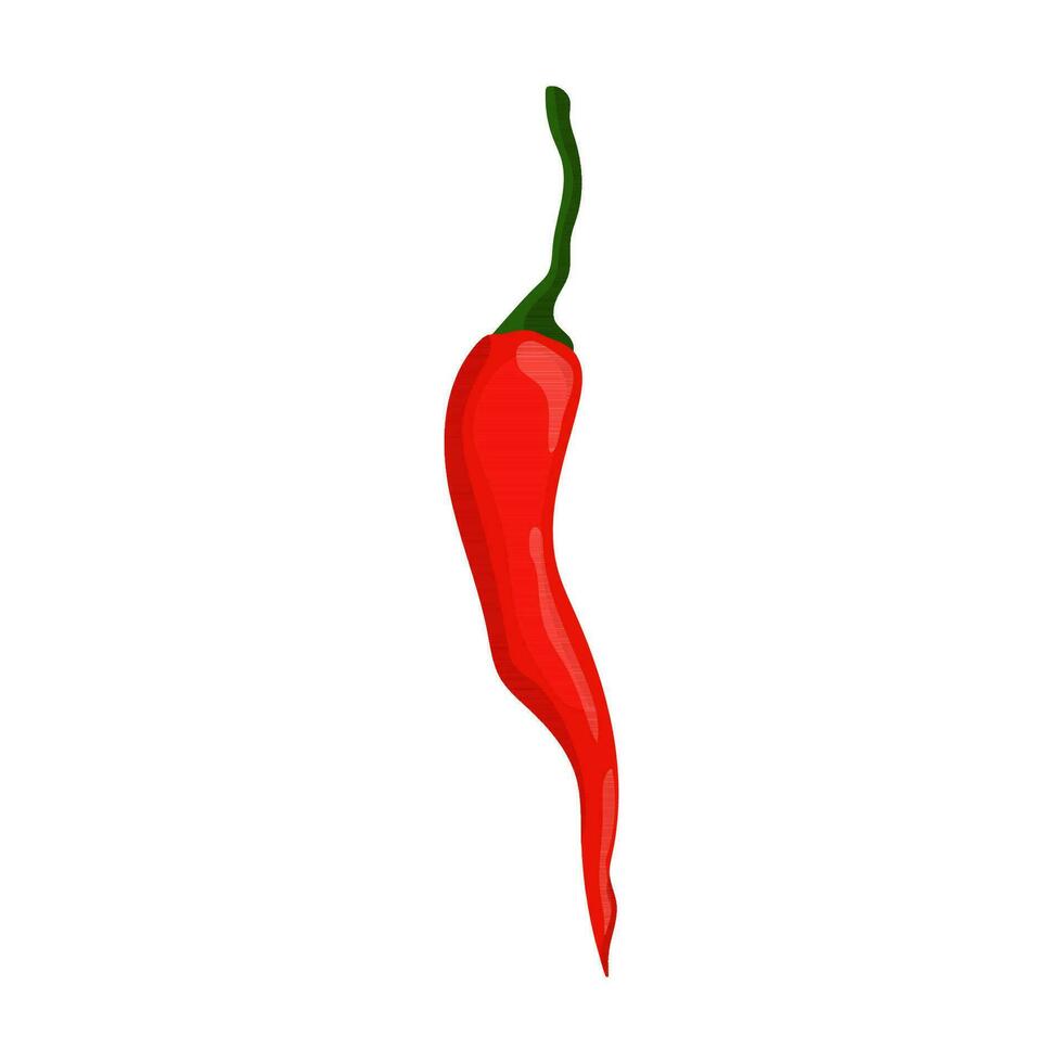 Nahansicht kühl Pfeffer. heiß rot Chili Pfeffer, Karikatur Mexikaner Chili oder Peperoni Illustration, Vektoren Paprika Symbol Zeichen isoliert auf Weiß Hintergrund