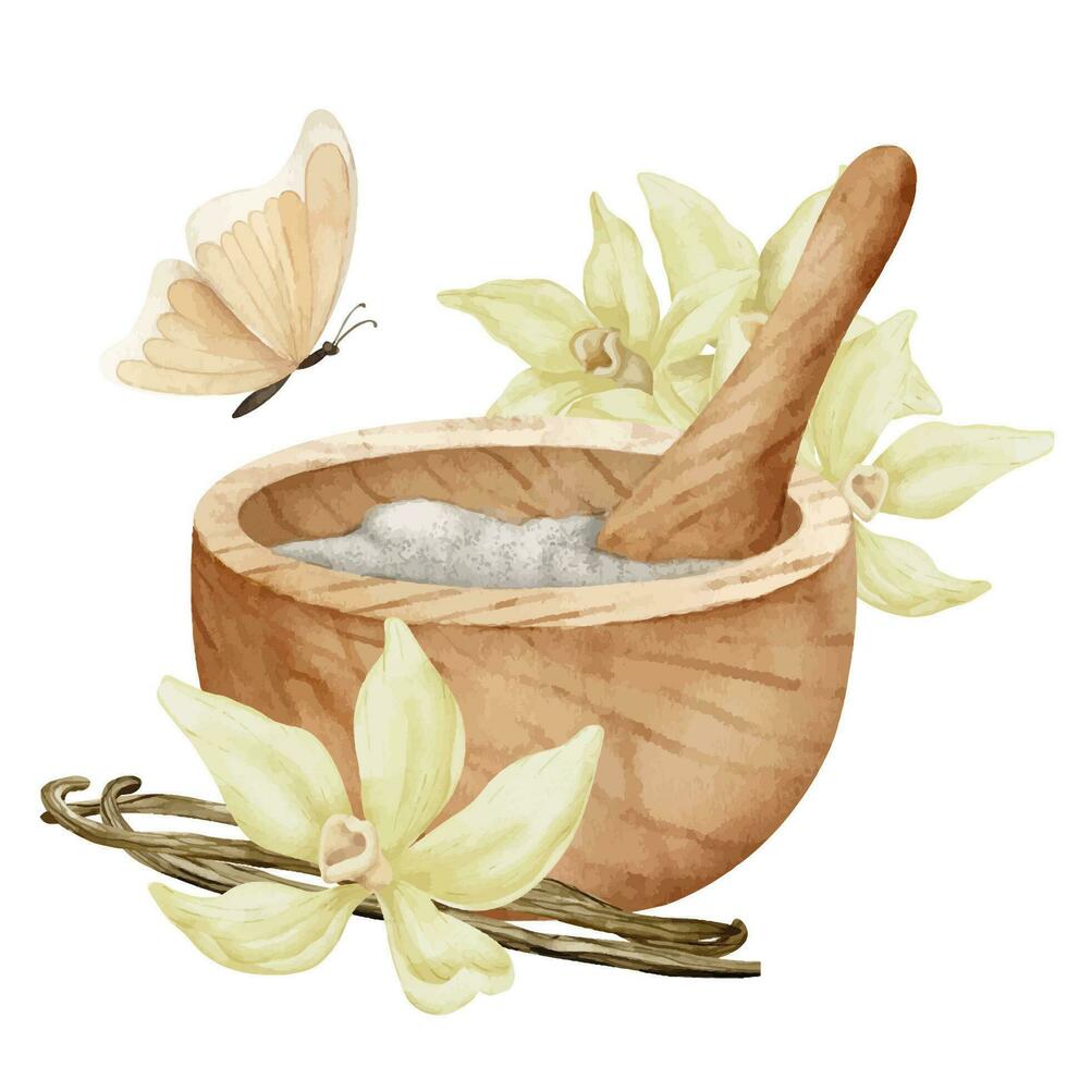vanilj med murbruk och mortelstöt. hand dragen vattenfärg illustration av blommor och retro trä- redskap på vit isolerat bakgrund. teckning av örter för alternativ medicin eller naturlig kosmetisk vektor