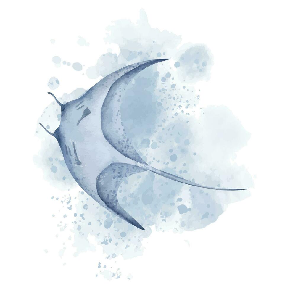 Manta Strahl Fisch mit Aquarell Spritzer. Hand gezeichnet Illustration von Stachelrochen auf isoliert Hintergrund. Riese Meer Teufel im Blau Farben. Zeichnung von unter Wasser Marine tropisch wild Tier Teufelsfisch vektor