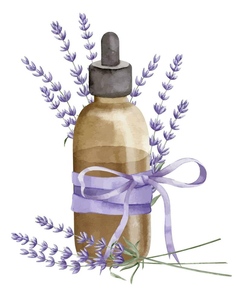 lavendel- grundläggande olja. hand dragen vattenfärg illustration av årgång flaska för aromaterapi på vit isolerat bakgrund. teckning av gammal flacon med blommor för kosmetisk eller alternativ medicin vektor