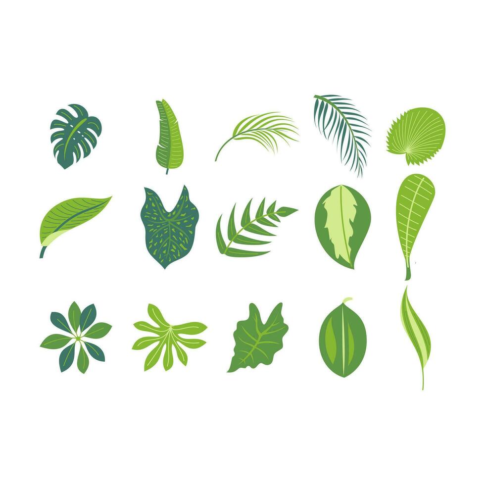 tropisk löv och abstrakt exotisk växt vektor design element på de vit bakgrund. platt design djungel löv. natur växt tropisk löv