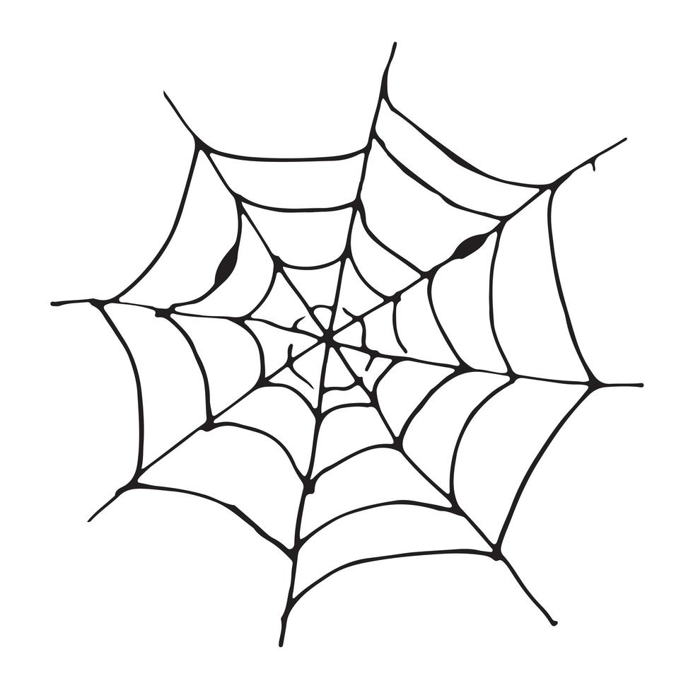 gezeichnete skizzierte Webvektorillustration der Spinnennetzhand lokalisiert auf weißem Hintergrund vektor