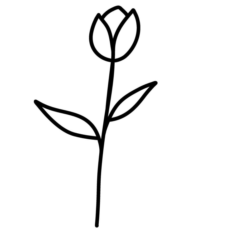 botanisk linje konst löv blomma vektor illustration