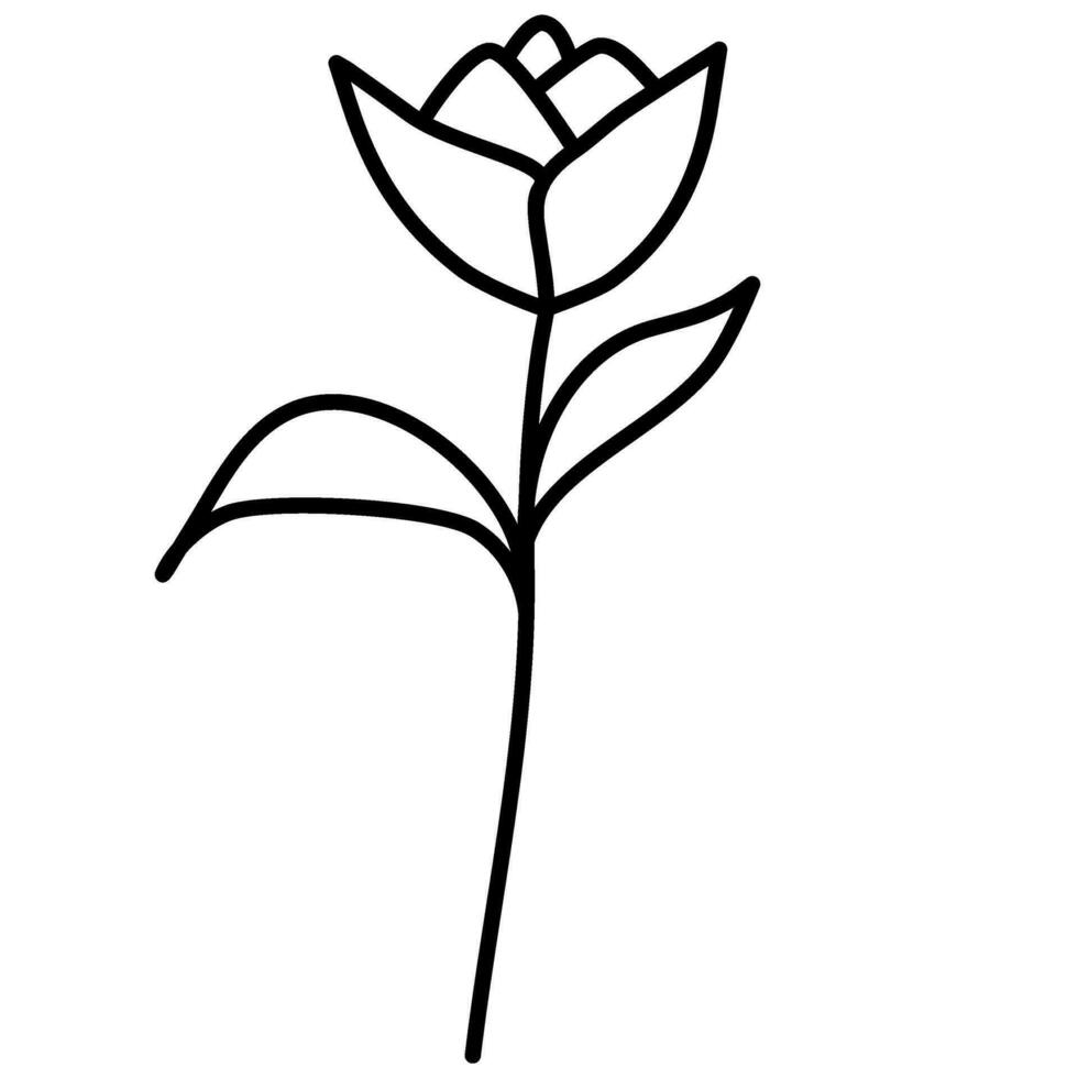 botanisk linje konst löv blomma vektor illustration