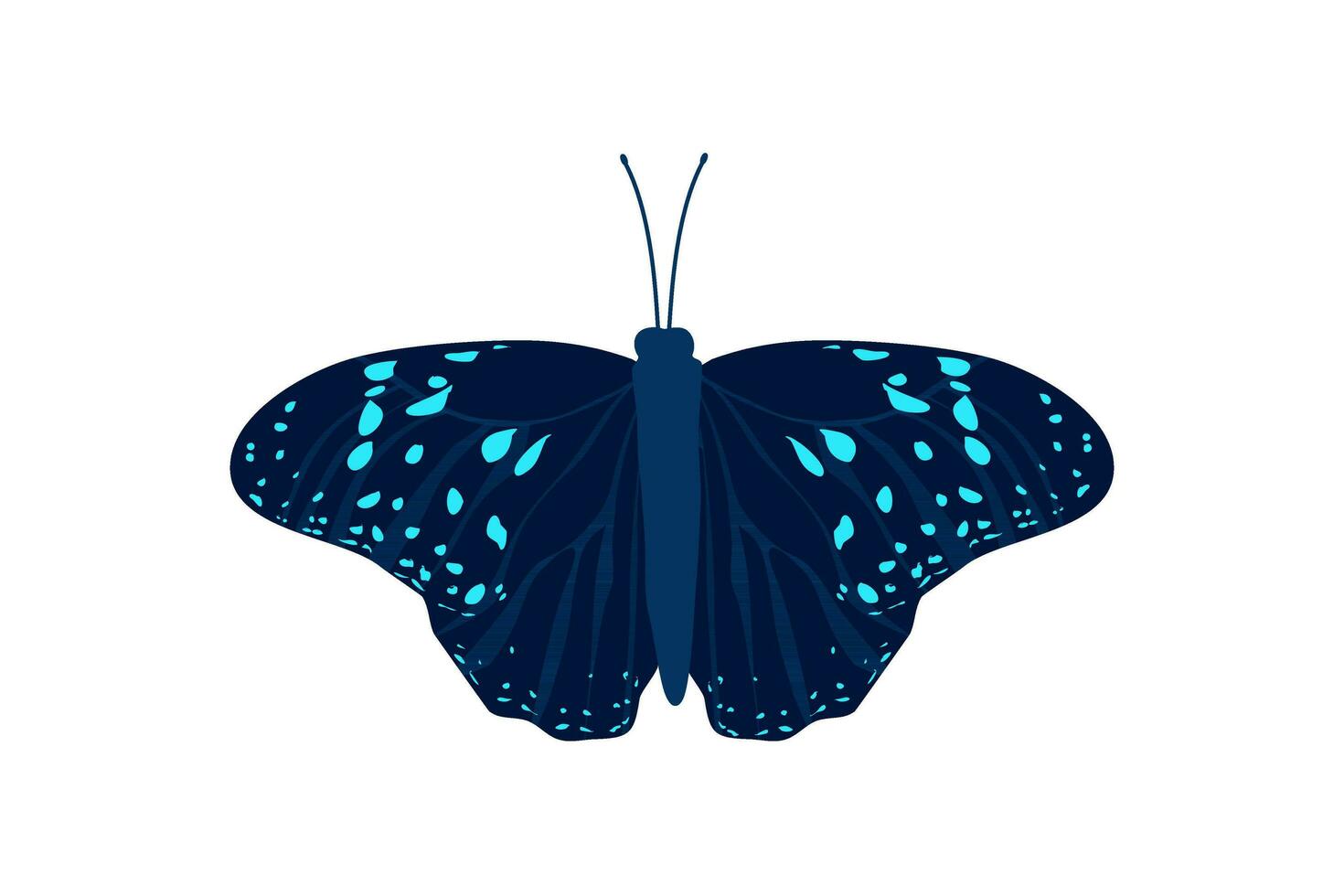 Schmetterling Blau Flügel Insekt Illustration Vektor