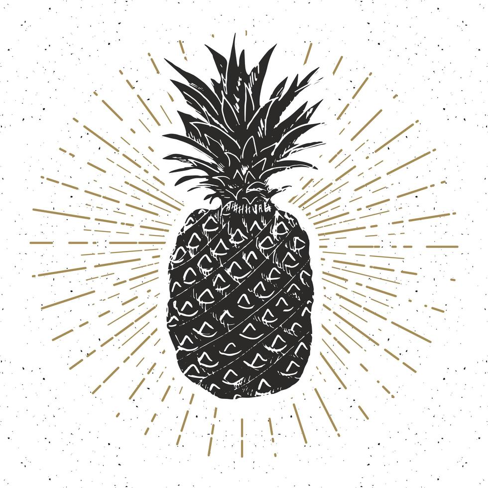 Weinleseetikett, handgezeichnete Ananas, strukturierte Retro-Abzeichenschablone des Schmutzes, Typografieentwurfvektorillustration vektor