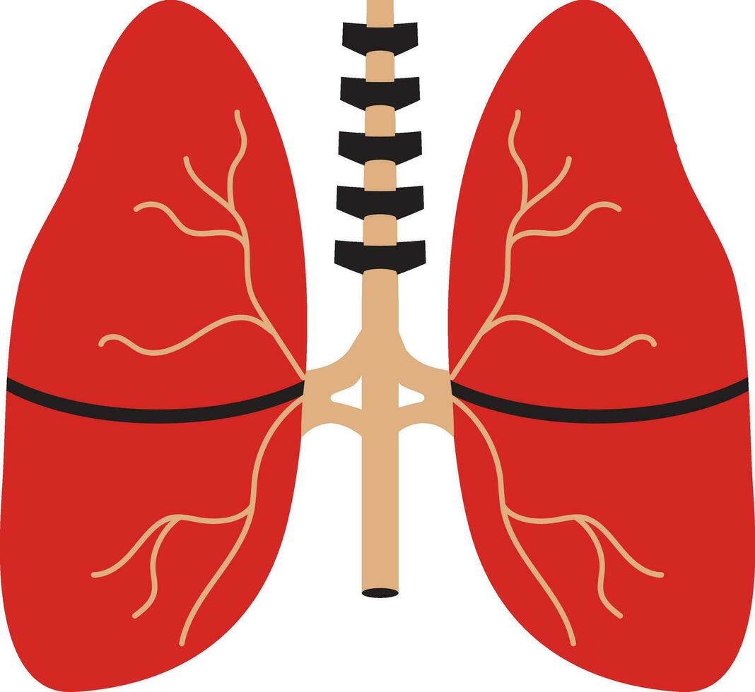Färg stil av lungor ikon inuti kropp. vektor