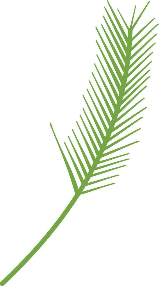 Illustration von ein Palme Blatt. vektor