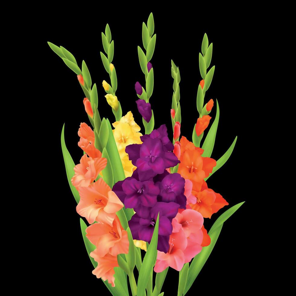 realistisch Gladiole Blumen vektor