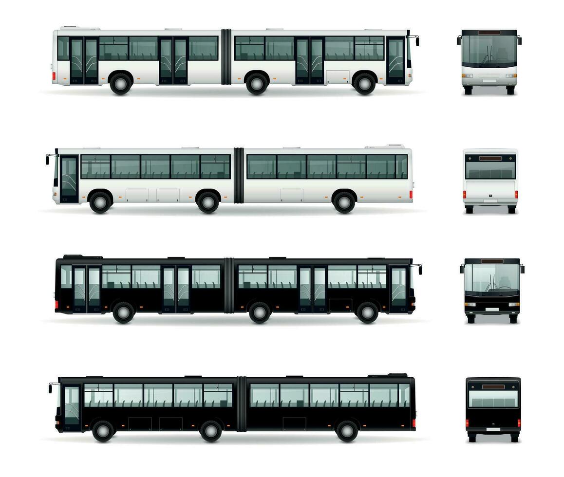 buss attrapp realistisk samling vektor