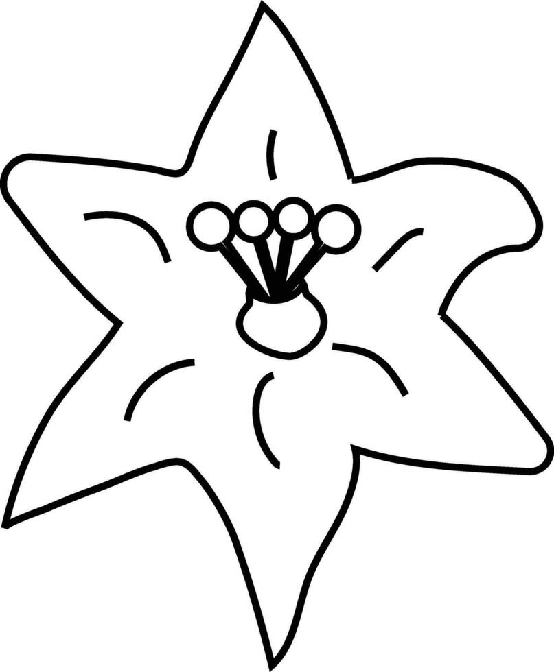 Star gestalten Linie Kunst Illustration von Blume. vektor