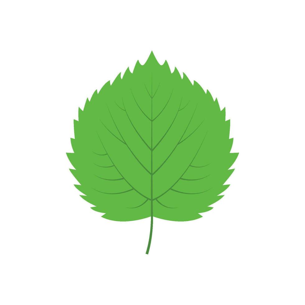 Grün Baum Blatt Vektor Illustration isoliert auf transparent Hintergrund