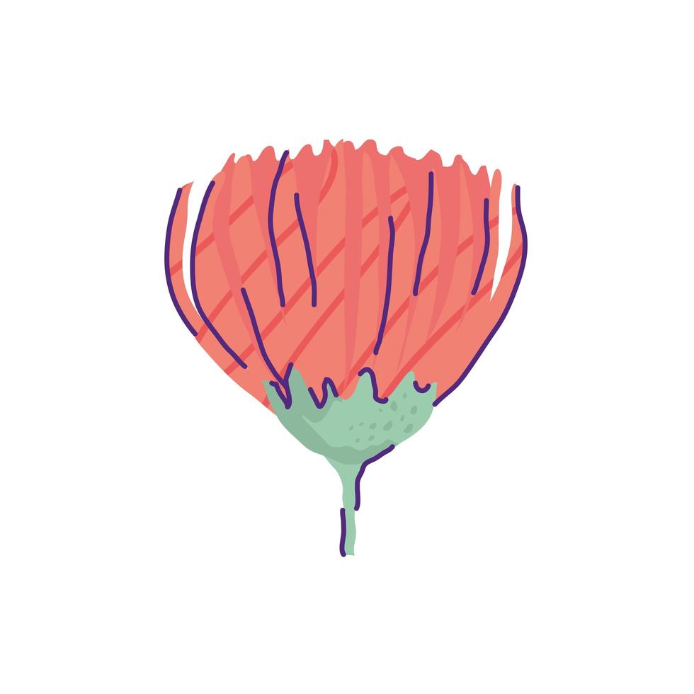 söt krysantemum blomma natur isolerad ikon vektor