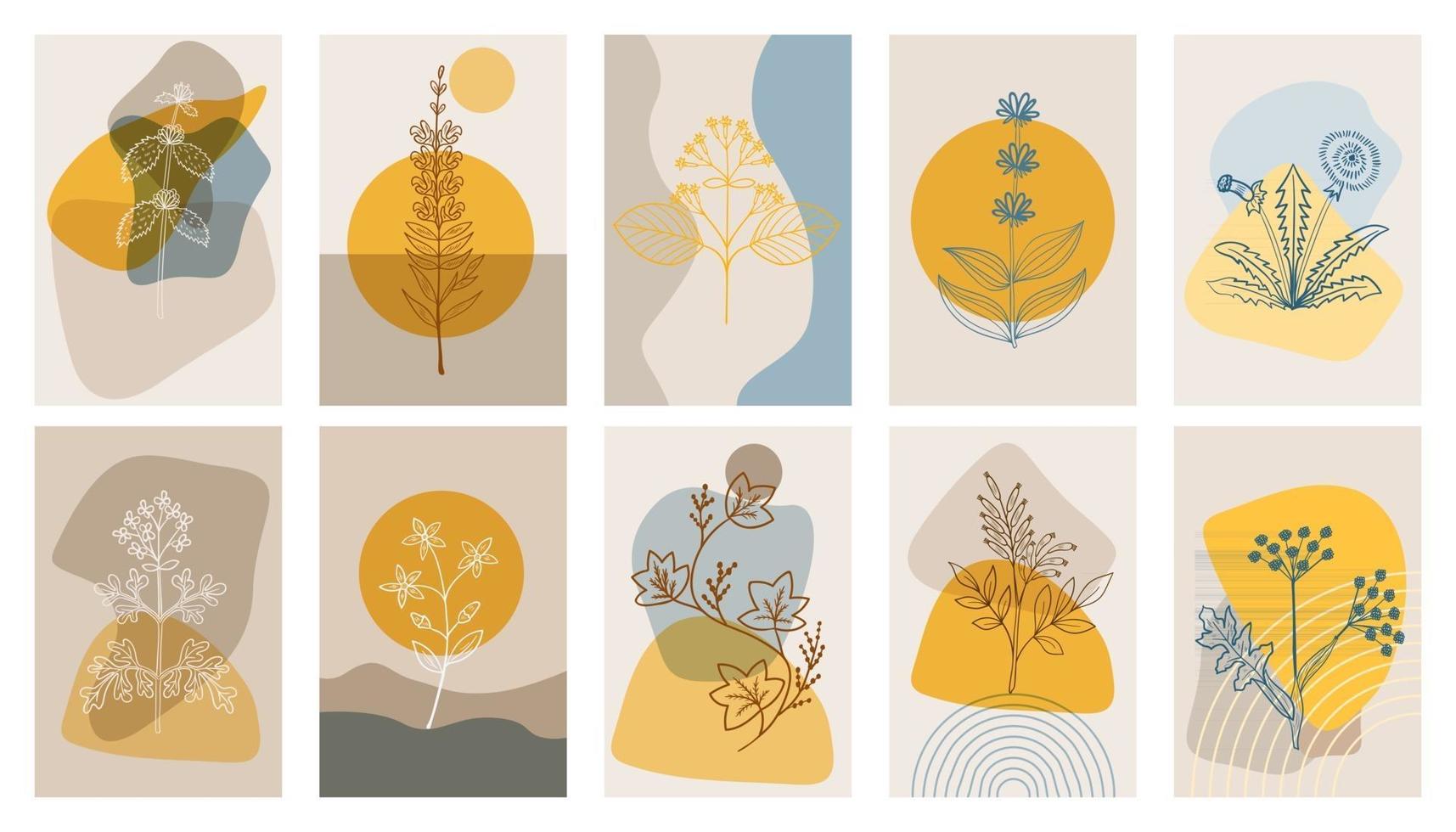 abstrakta affischer med bittra örter, uppsättning. abstrakta geometriska element och blommor, blad och bär vektor