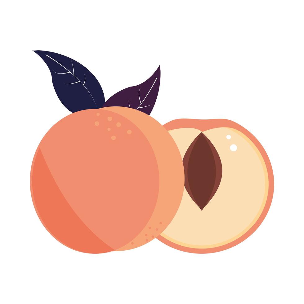 Pfirsich tropische Frucht vektor