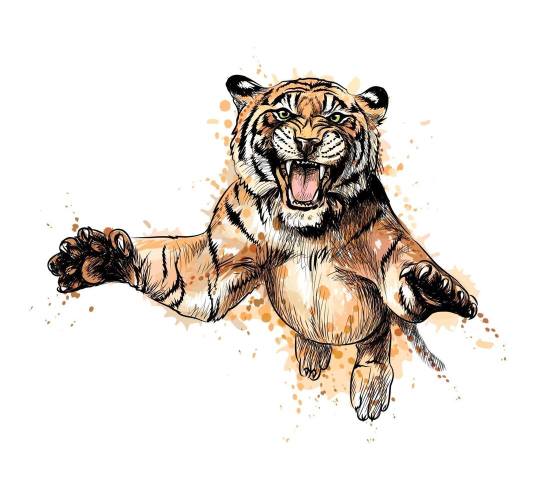 Porträt eines Tigers, der von einem Spritzer von Aquarellhand gezeichneter Skizzenvektorillustration von Farben springt vektor
