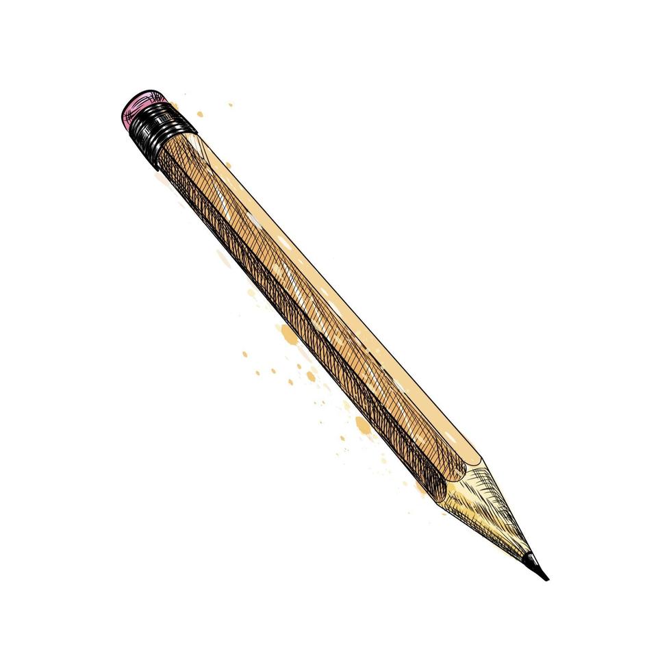 Bleistift von einem Spritzer von Aquarellhand gezeichneten Skizzenvektorillustration von Farben vektor