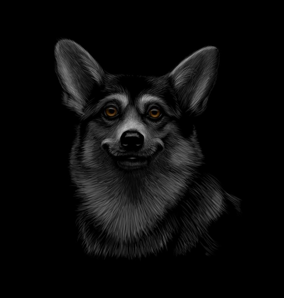 Porträt eines walisischen Corgi-Kopfes auf einer schwarzen Hintergrundvektorillustration vektor