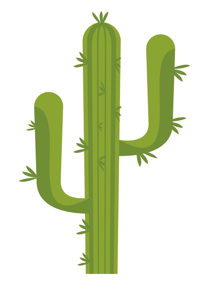kaktus växt ikon vektor