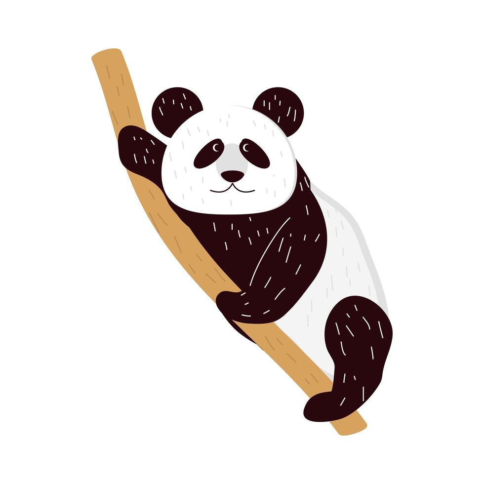 panda på gren vektor