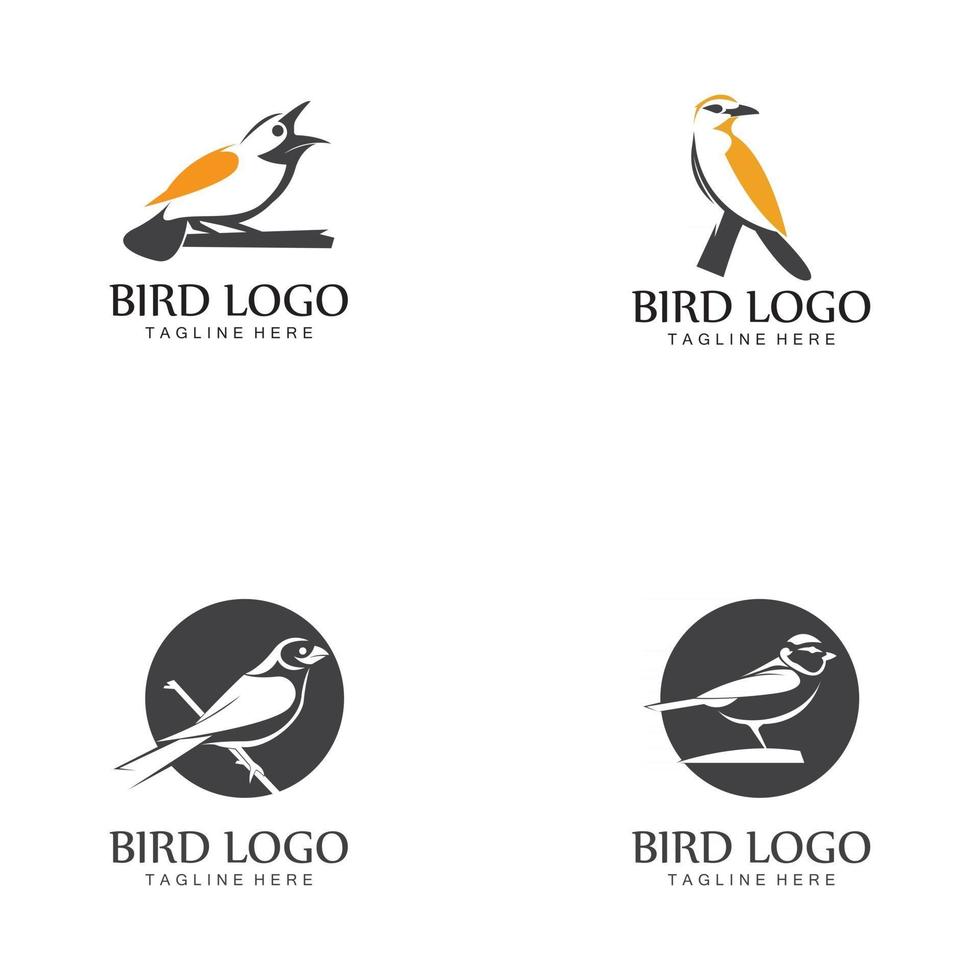 Vogel Logo Vektor Icon Design Vorlage