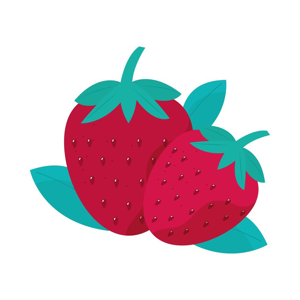 jordgubbar frukt färsk näring hälsosam måltid vektor