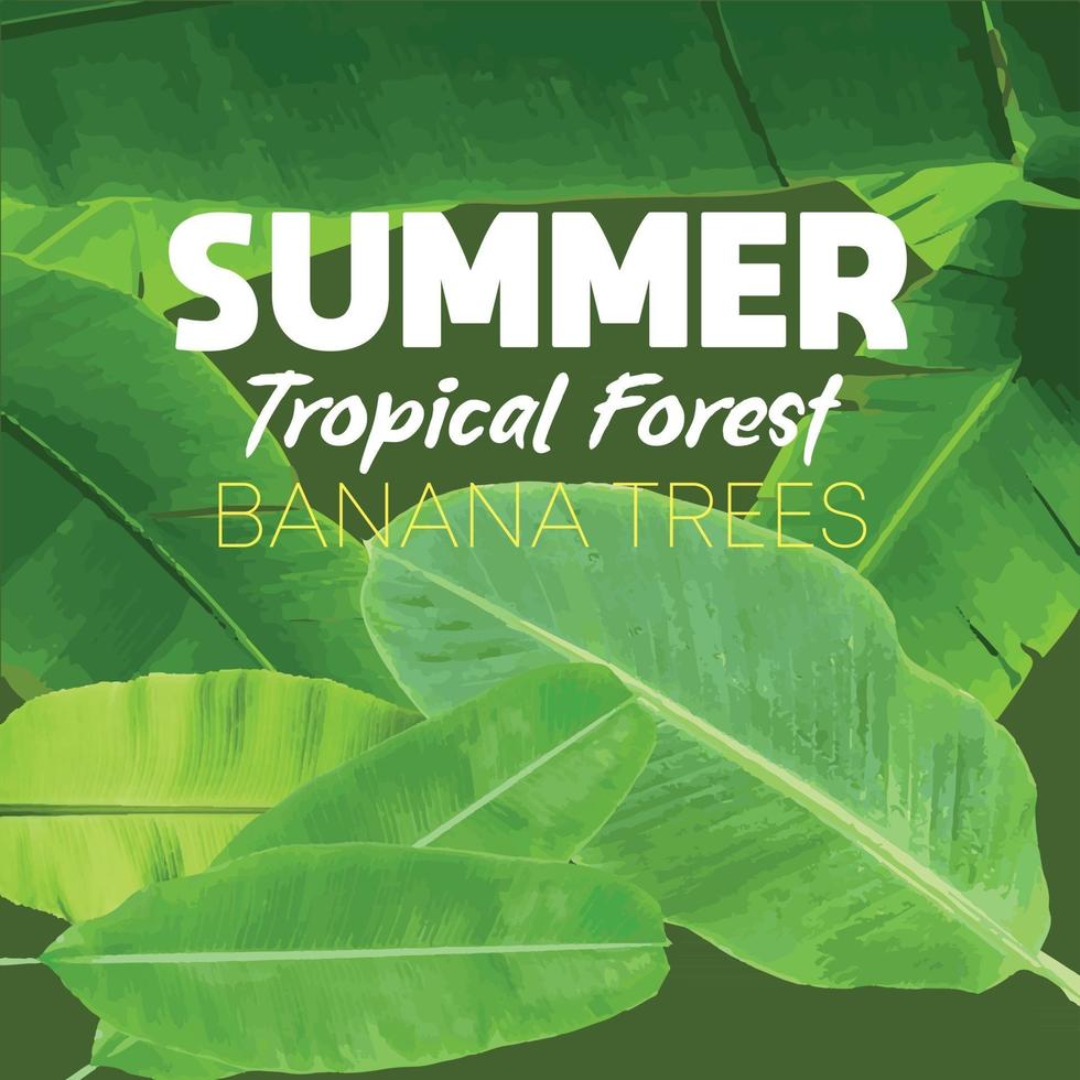sommar tropisk skog färska gröna bananträd realistiska mönster tropiska palmblad sömlösa skog lämnar vektor blommönster