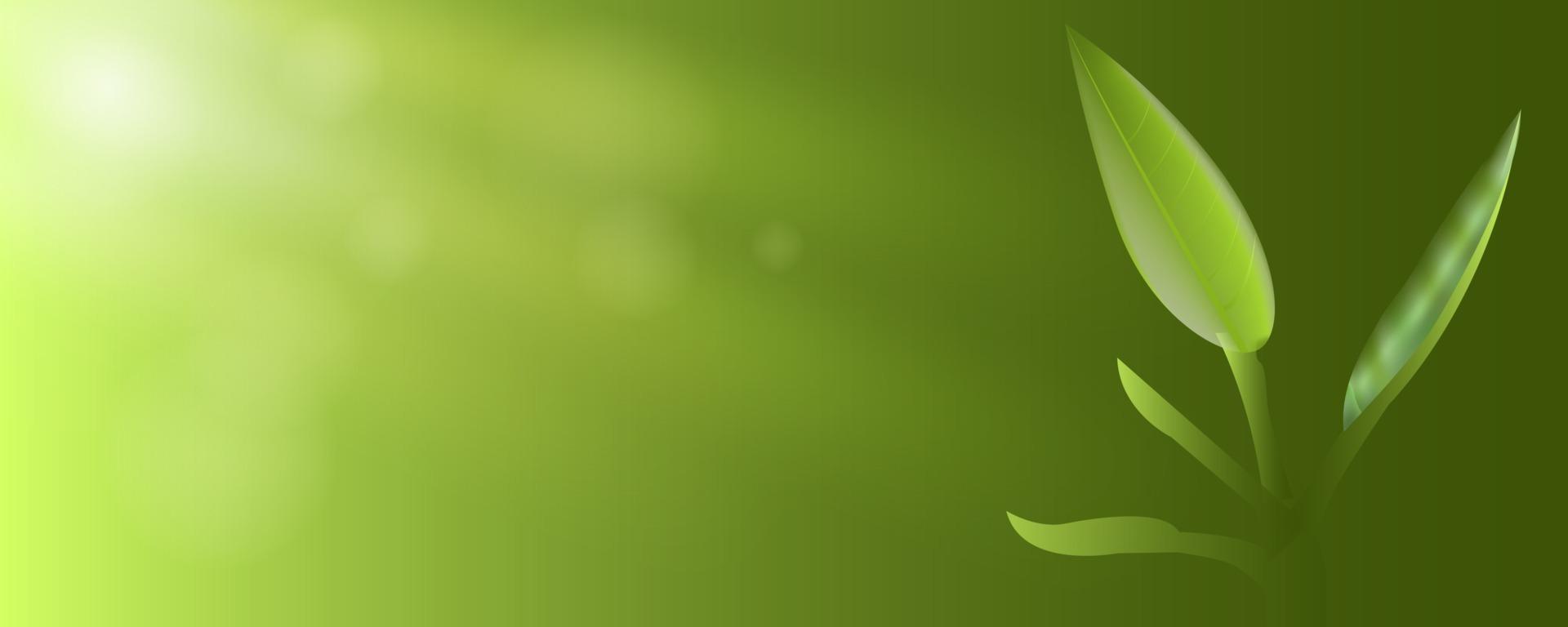 frische grüne Blätter mit Sonnenscheinfahnenhintergrund vektor