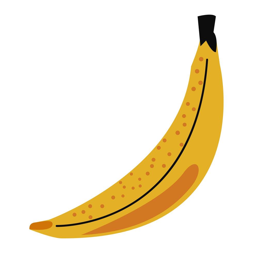färsk bananfrukt vektor