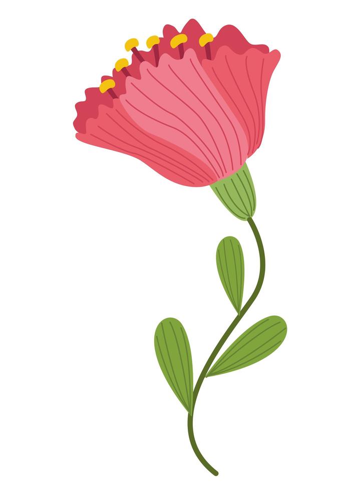 vacker rosa blomma dekorativa ikon vektor