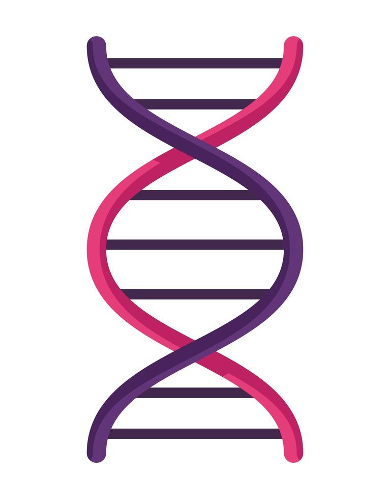 DNA-Molekülspirale vektor
