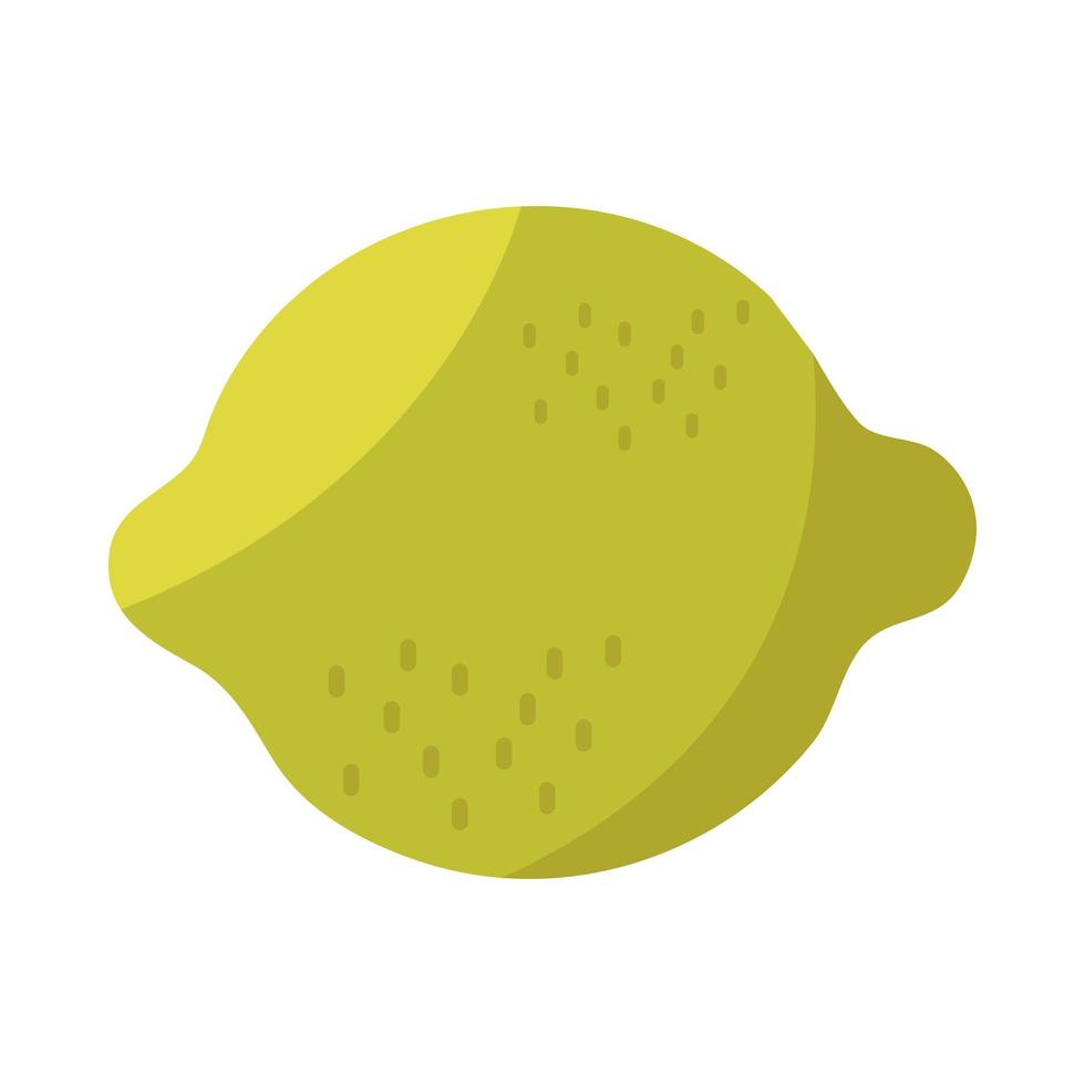 citron citrusfrukt tropisk färsk ikon vektor