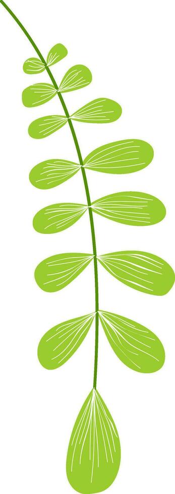 Illustration von Grün Blätter. vektor