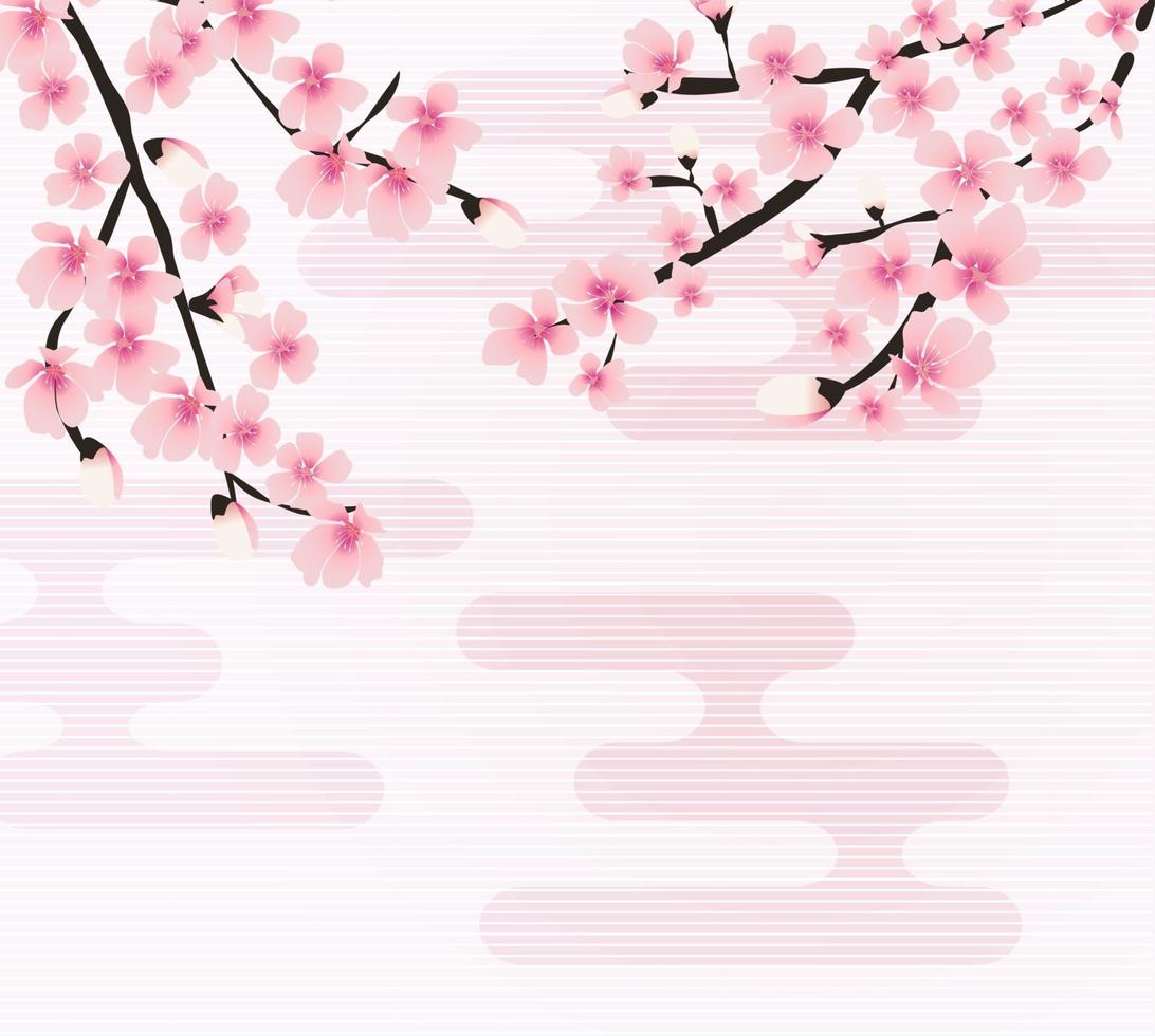 abstrakte florale Sakura-Blume japanische natürliche Hintergrundvektorillustration vektor