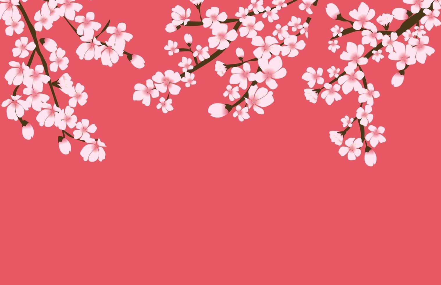 abstrakt blommig sakura blomma japansk naturlig bakgrundsvektorillustration vektor