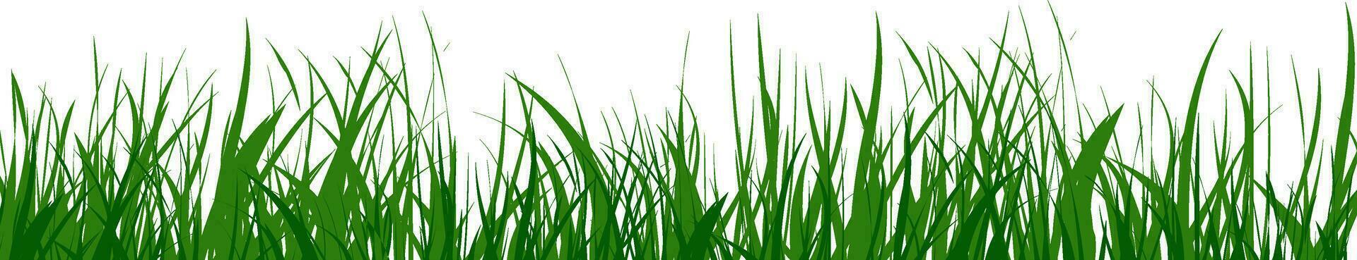 illustration av grön gräs. vektor