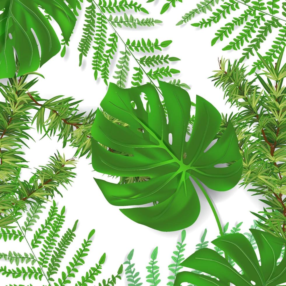 grupp av växtblad från tropiska skogar monstera ormbunke tallblad i bakgrunden kan användas för gratulationskort flygblad inbjudningar webbdesign till allt vektor