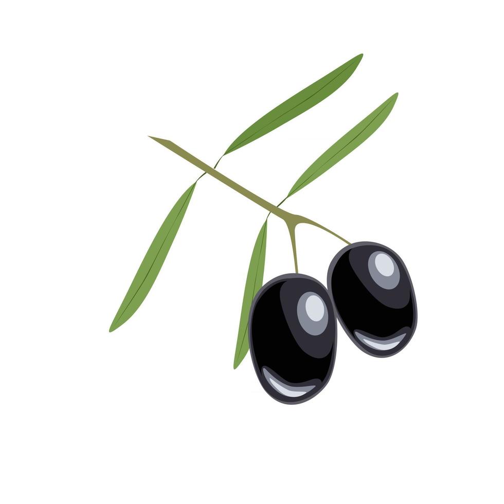 vektor av lummiga kvistar med svarta oliver