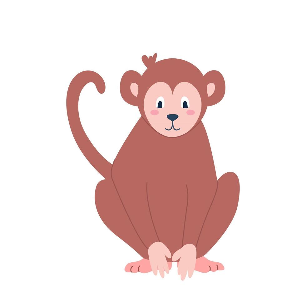 niedlicher Affe, der auf einem weißen Hintergrundvektorbild im flachen Artdekor der Karikatur für Kinderplakatpostkartenkleidung und Innendekoration sitzt vektor