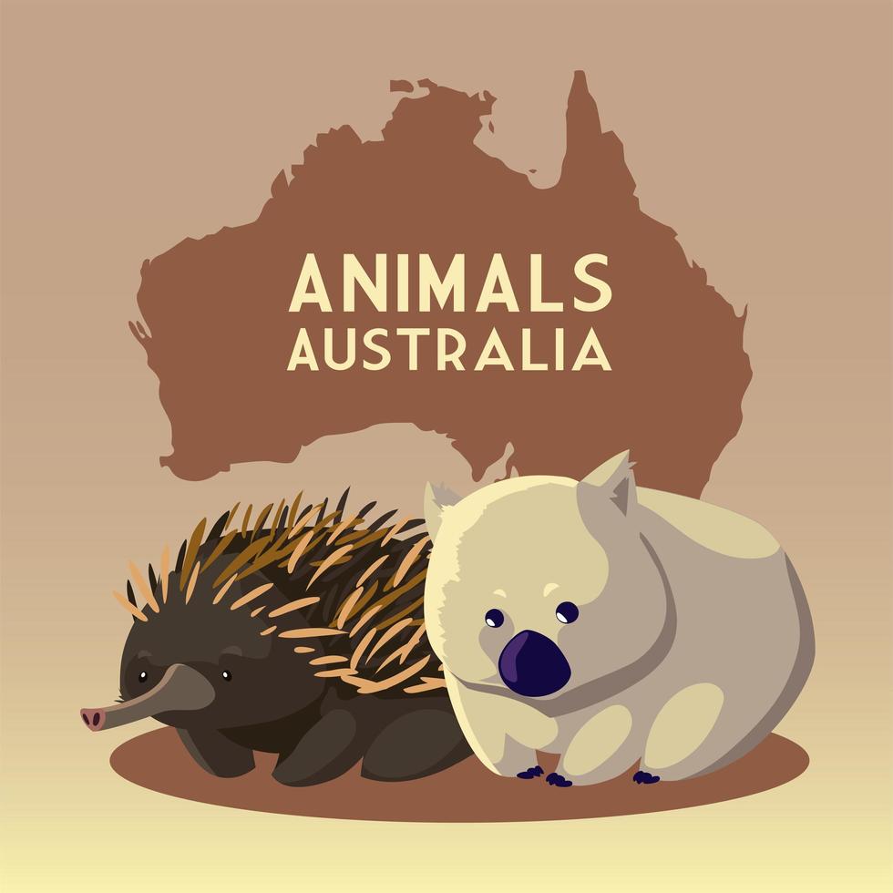 Wombat und Igel australischer Kontinent Karte Tier Tierwelt vektor