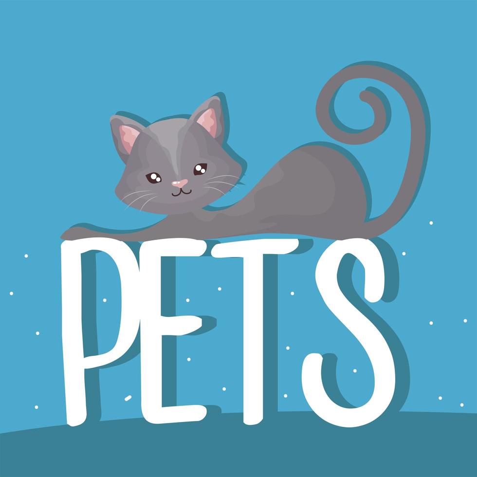 graue niedliche Katze, die auf Haustierbeschriftungskarikatur ruht vektor