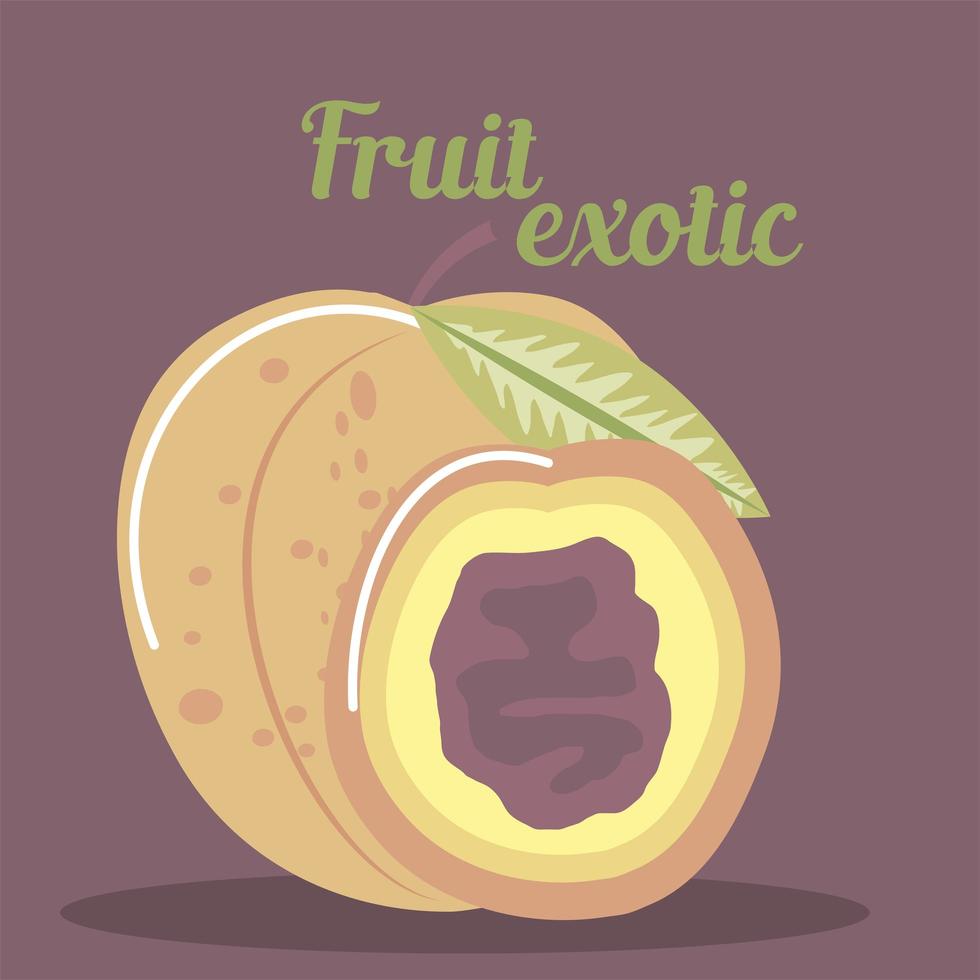 Pfirsich frisches Obst Bio gesunde Lebensmittel vektor