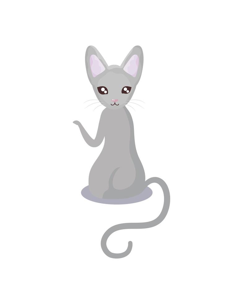 Haustier niedliches Katzentier mit weißem Hintergrund des Stammbaums vektor