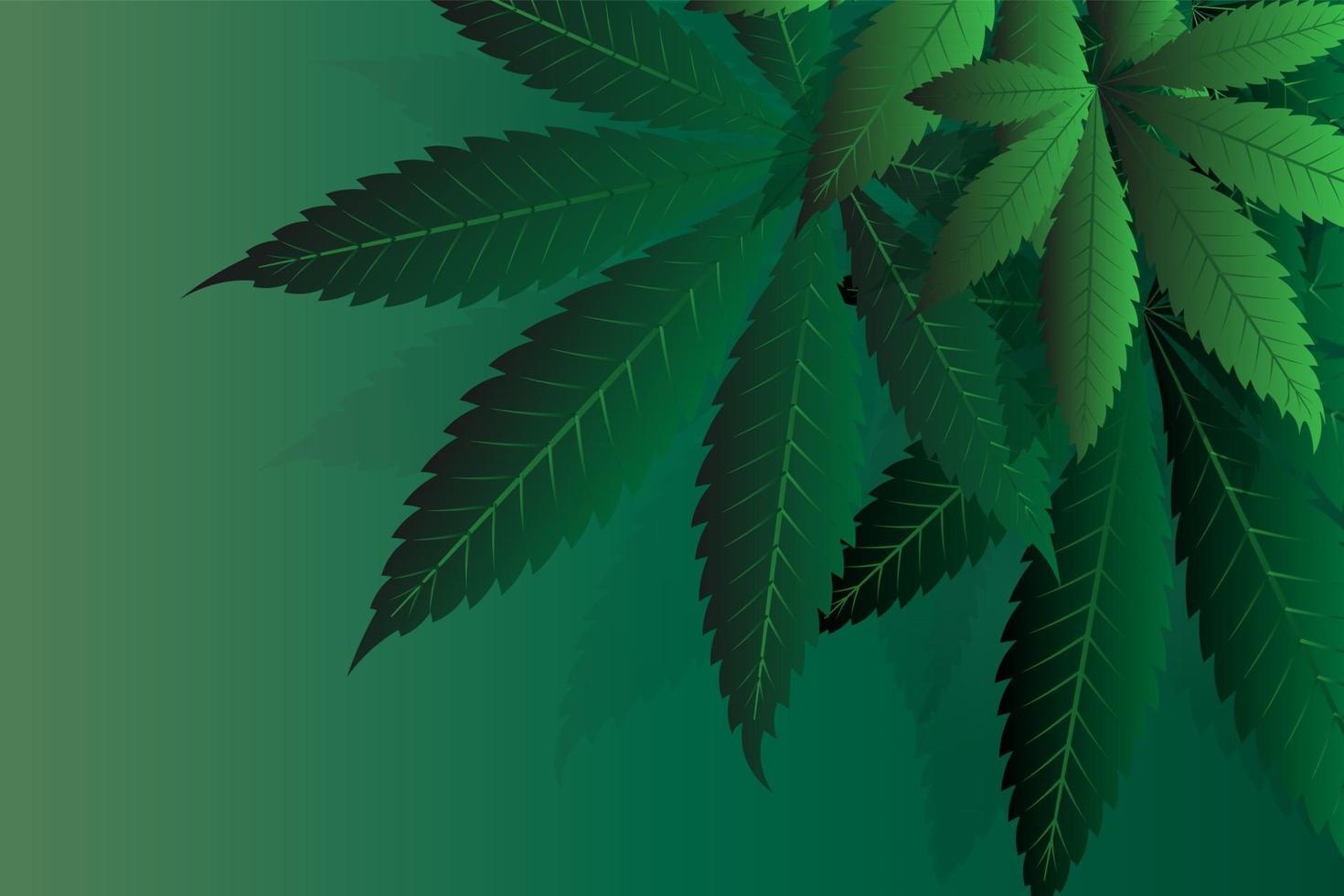 Cannabisblätter einer Pflanze auf einem dunklen Hintergrund vektor
