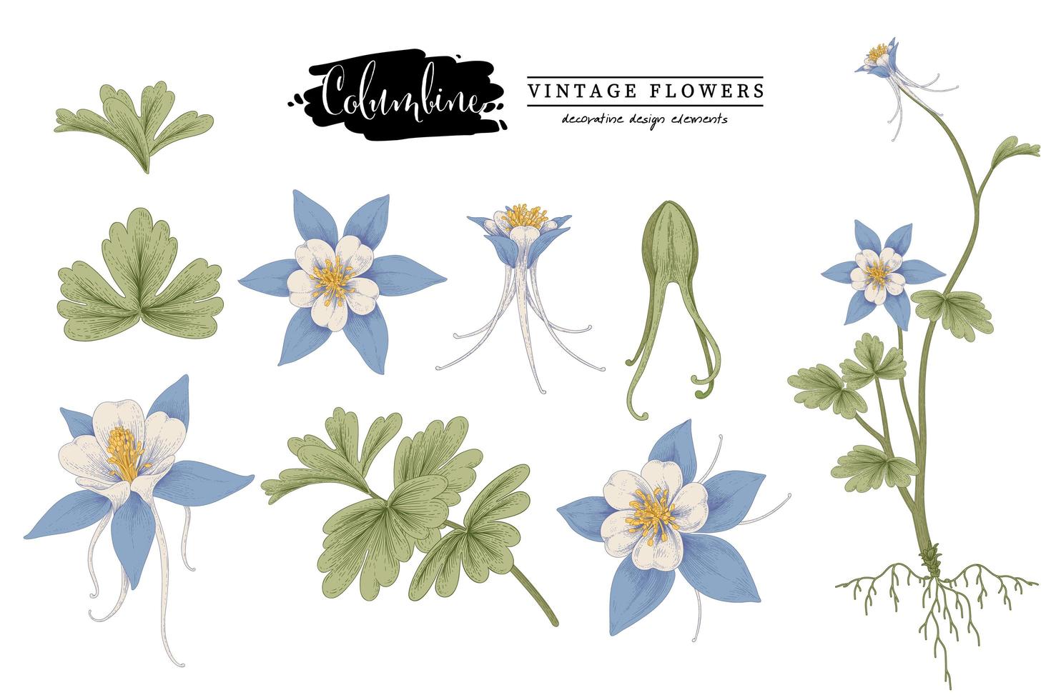 blå columbine blomma vintage handritad element botaniska illustrationer dekorativ uppsättning vektor