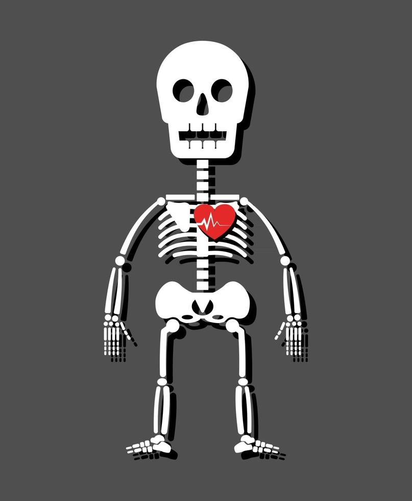 mänskligt skelett och hjärta tecknad stil vektor