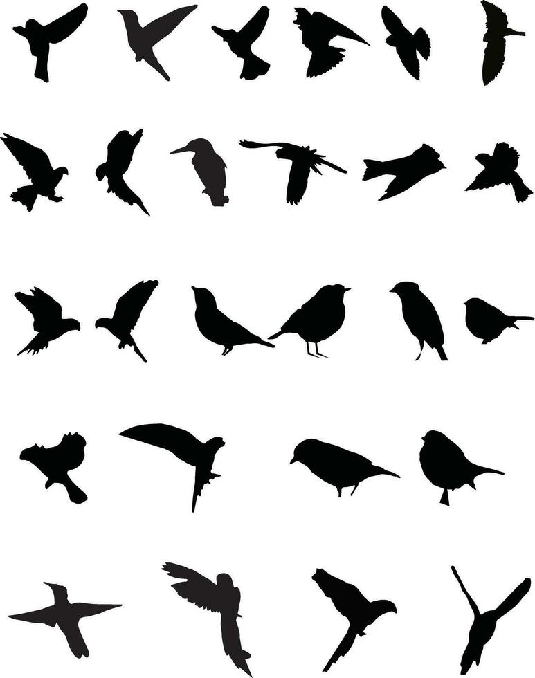 fliegend Vögel Silhouetten auf Weiß Hintergrund. Vektor Illustration.